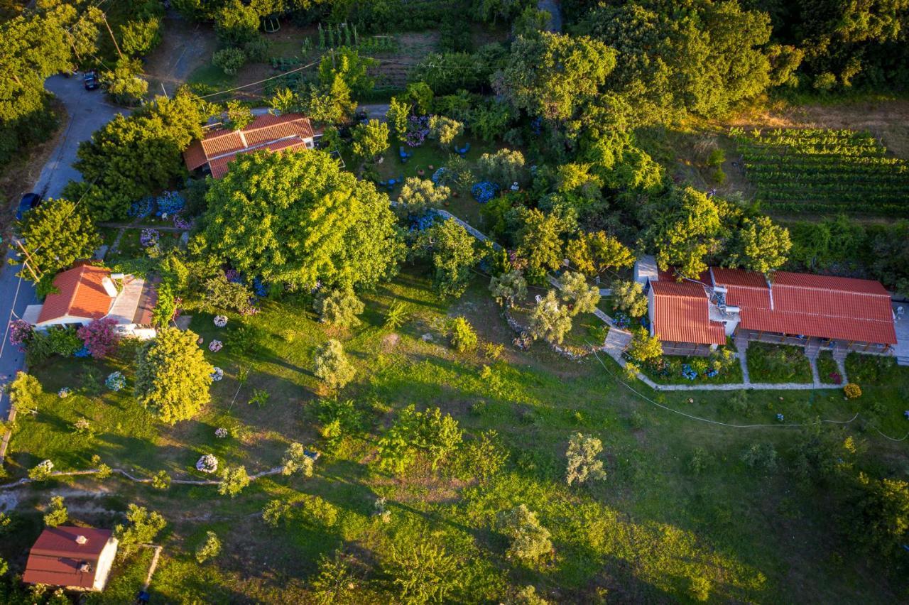 Alekas Studios Therma  Bagian luar foto