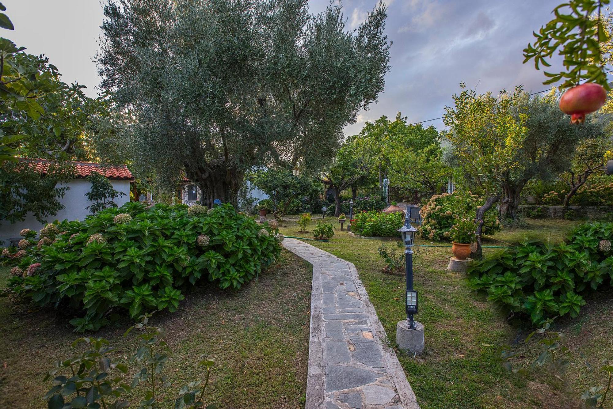 Alekas Studios Therma  Bagian luar foto